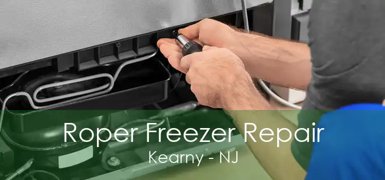Roper Freezer Repair Kearny - NJ