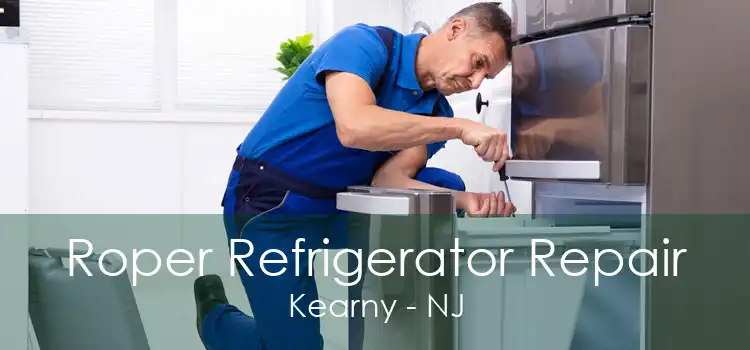 Roper Refrigerator Repair Kearny - NJ