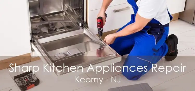 Sharp Kitchen Appliances Repair Kearny - NJ