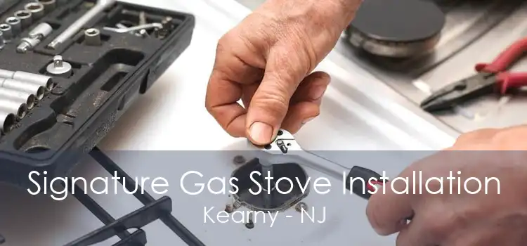 Signature Gas Stove Installation Kearny - NJ