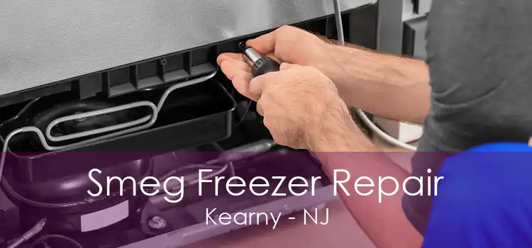 Smeg Freezer Repair Kearny - NJ