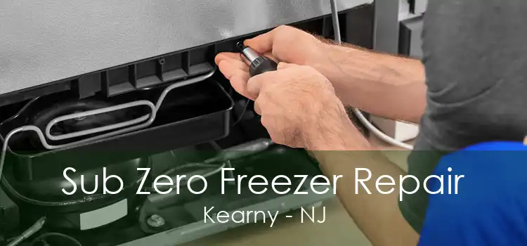 Sub Zero Freezer Repair Kearny - NJ