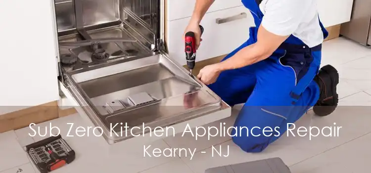 Sub Zero Kitchen Appliances Repair Kearny - NJ