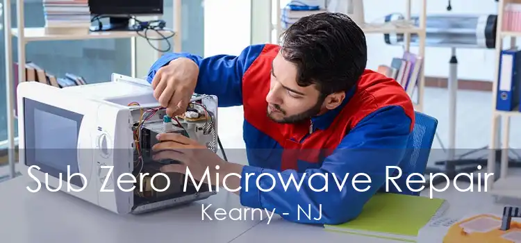 Sub Zero Microwave Repair Kearny - NJ