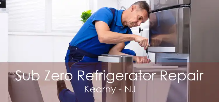 Sub Zero Refrigerator Repair Kearny - NJ