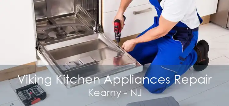 Viking Kitchen Appliances Repair Kearny - NJ