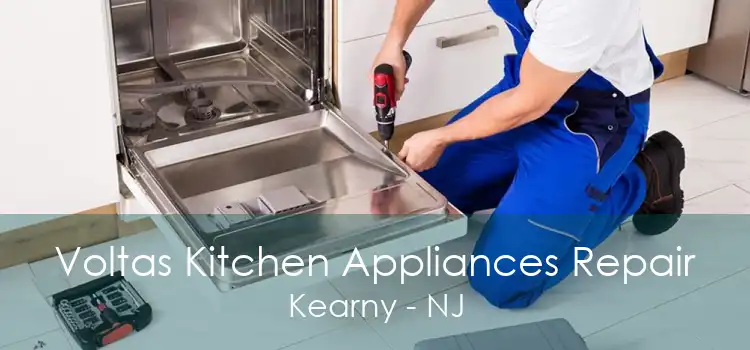 Voltas Kitchen Appliances Repair Kearny - NJ