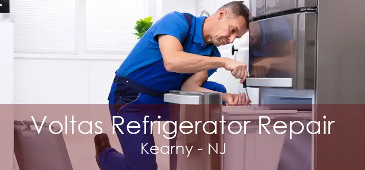 Voltas Refrigerator Repair Kearny - NJ