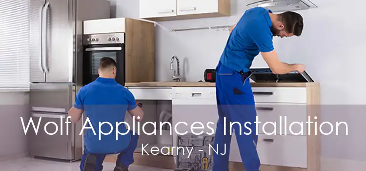 Wolf Appliances Installation Kearny - NJ