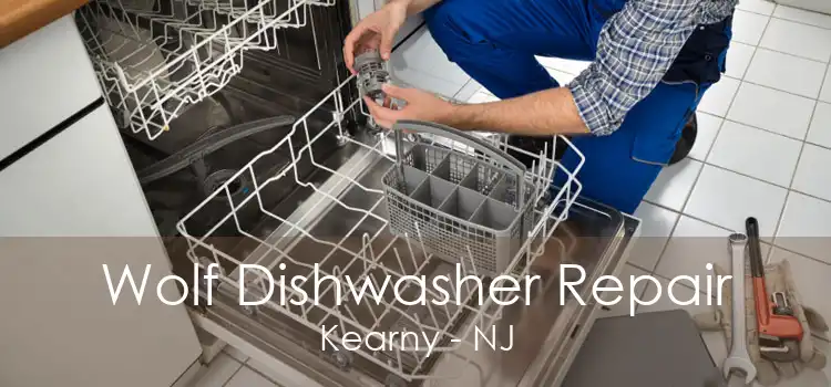 Wolf Dishwasher Repair Kearny - NJ