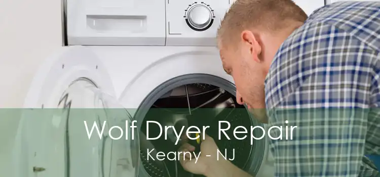 Wolf Dryer Repair Kearny - NJ