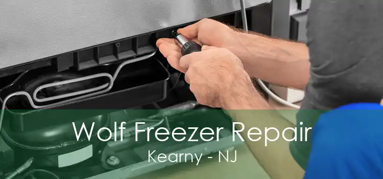 Wolf Freezer Repair Kearny - NJ