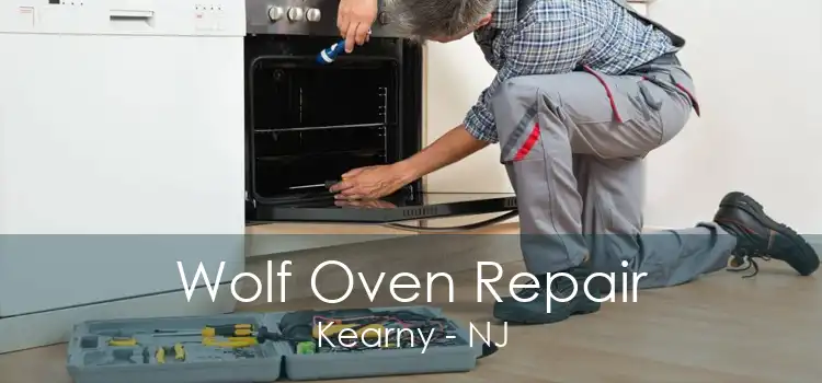 Wolf Oven Repair Kearny - NJ