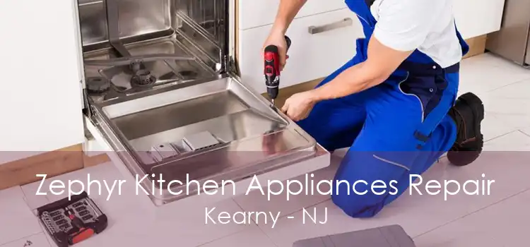 Zephyr Kitchen Appliances Repair Kearny - NJ