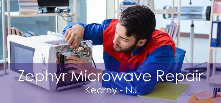 Zephyr Microwave Repair Kearny - NJ